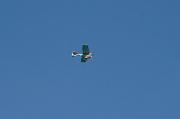 SAY_0163 (2)
